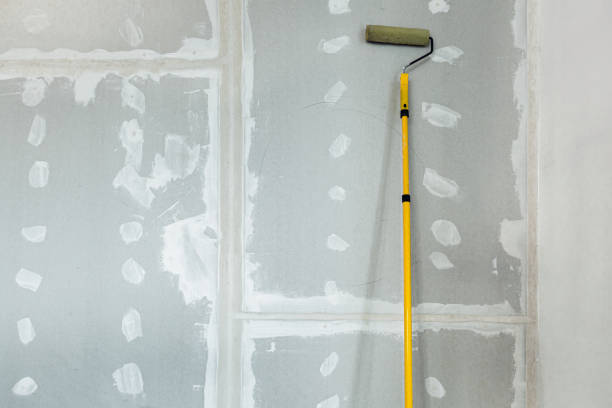 Best Comprehensive Air Testing for Mold Contaminants  in Sun City, AZ