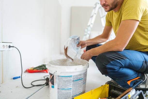 Best Mold Damage Restoration  in Sun City, AZ