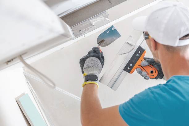 Best Mold Odor Removal Services  in Sun City, AZ